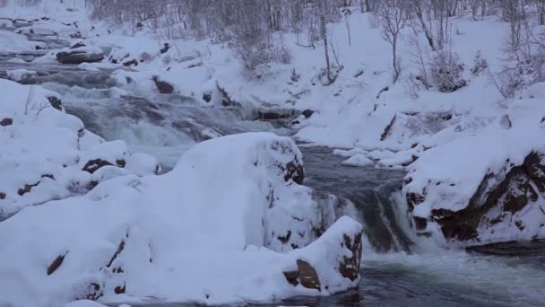 Зимова Лісова Річка Сутінках — стокове відео