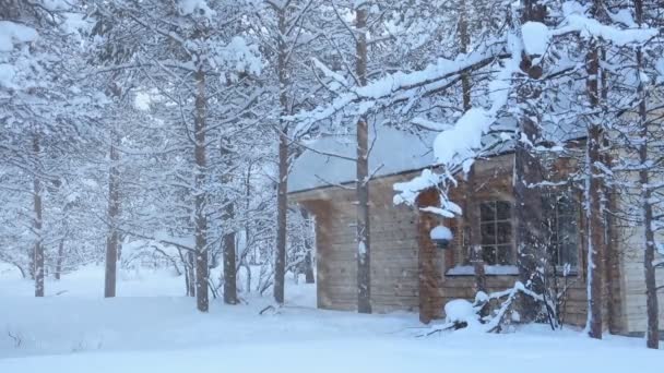 Ξύλινο Σπίτι Στο Δάσος Και Χιονοπτώσεις — Αρχείο Βίντεο