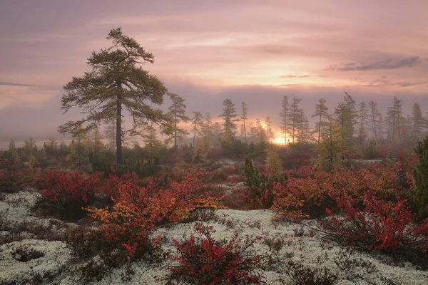 Magadan Regionu Kolyma Jack London Jezero — Stock fotografie