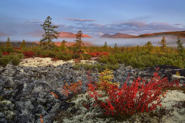 Magadan Region Kolyma Jack London Sjö — Stockfoto