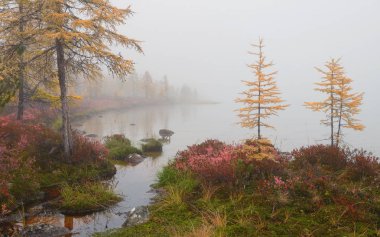 Jack Londra Gölü'nde sisli sabah, Kolyma, Magadan bölgesi, Rusya Federasyonu