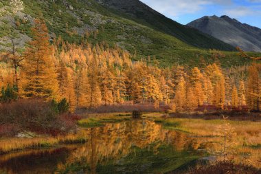 Magadan region, Jack London Lake, Kolyma, Rusya Federasyonu