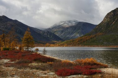 Jack London Lake'te güneşli bir gün, Magadan region, Kolyma, Rusya Federasyonu