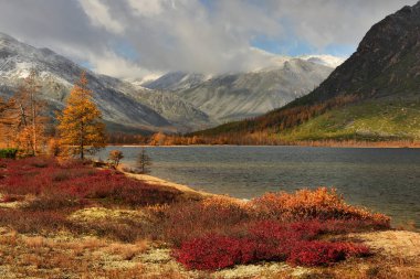Magadan region, Jack London Lake, Kolyma, Rusya Federasyonu
