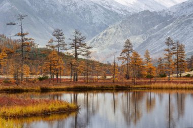 Magadan region, Jack London Lake, Kolyma, Rusya Federasyonu