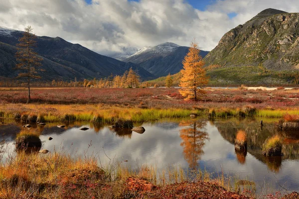 Journée Ensoleillée Lac Jack Londres Ruisseau Studenyi Kolyma Oblast Magadan — Photo