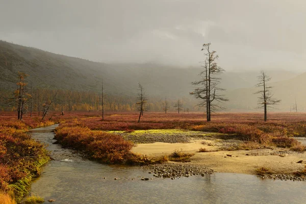 Rain on the Lake of Jack London, Stream Studenyi, Kolyma, Magadan oblast, Russia