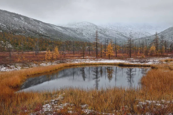 First frost on the Lake of Jack London, the stream Studenyi, Kolyma, Magadan oblast, Russia