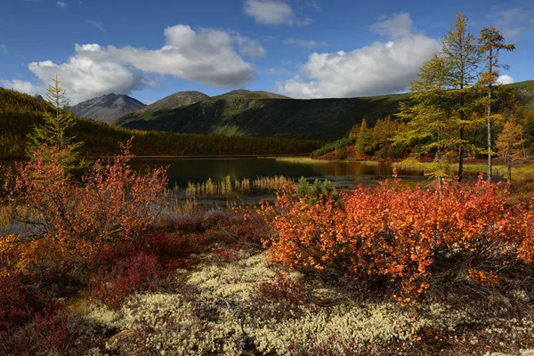 Magadan Region Jack London Lake Kolyma Rosja — Zdjęcie stockowe