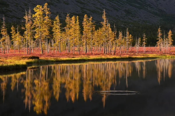 Región Magadan Kolyma Lago Jack London — Foto de Stock