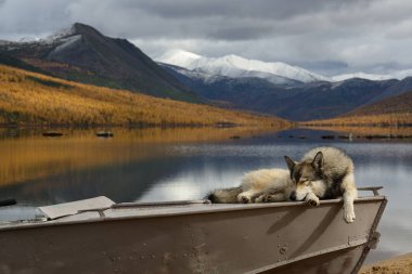 Magadan region, Kolyma, Jack Londra gölü