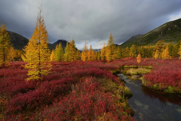 Region Magadan Jack London Jezioro — Zdjęcie stockowe