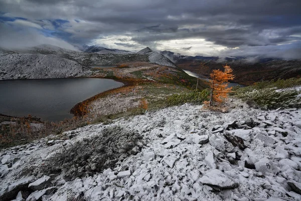 Magadan Regionen Kolyma Den Dansande Harlings Sjön — Stockfoto