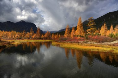 Jack London Gölü'nde güneşli bir gün, Magadan bölgesi, Kolyma, Jack London gölü
