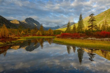 Bir sonbahar günü dağlardaki orman deresi
