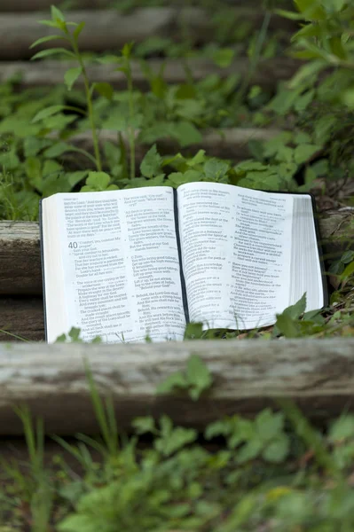 Gros plan de la Bible ouverte en Isaïe chapitre 40 en plein air sur le bois — Photo
