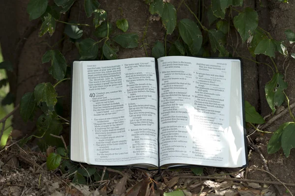 Gros plan de la Bible ouverte dans Esaïe chapitre 40 à l'extérieur. Contexte — Photo