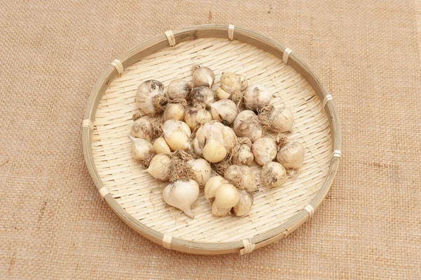 Organic Garlic Allium Sativum Woven Bamboo Basket Isolated Jute Fabric — Stock Photo, Image