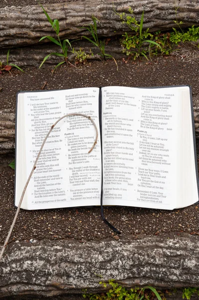 Sainte Bible Ouvre Avec Petit Bâton Sur Dessus Mise Évidence — Photo