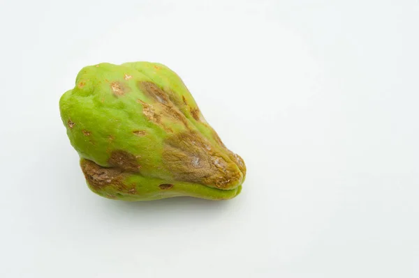 Chayote Gâtée Par Champignon Isolé Sur Fond Blanc Espace Copie — Photo