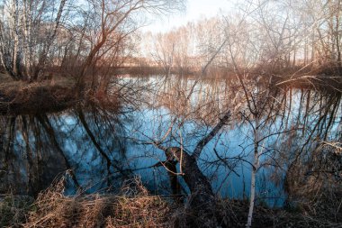 mavi suda ayna yansıması