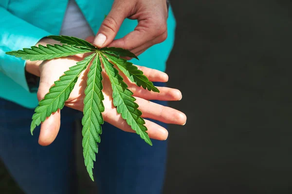 Grönt blad av marijuana i en hand. Konceptuell bild — Stockfoto