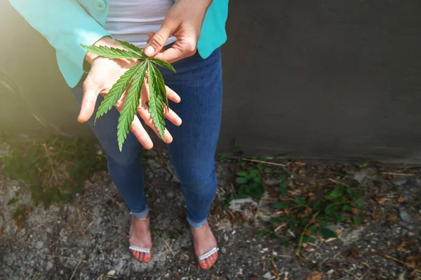 Grünes Blatt Marihuana in der Hand. Konzeptfoto — Stockfoto