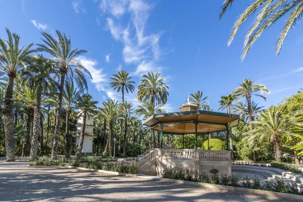 Vista Sul Giardino Palmeral Elche Provincia Alicante Spagna Patrimonio Unesco — Foto Stock