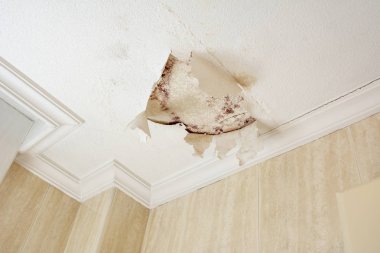 Peeling boya duvar alçı tavan banyo su sızıntısı