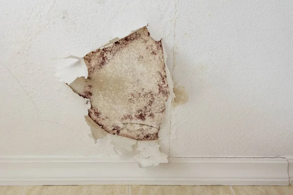 Peeling Paint Wall Water Leak Plaster Ceiling Bathroom — Stock Photo, Image