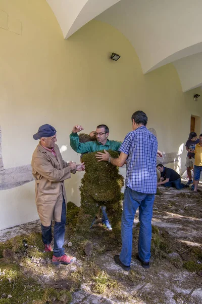 Bejar Salamanca Spain 2017 Making Costume Men Moss Procession Corpus — Stock Photo, Image