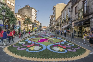 Ponteareas, Pontevedra, İspanya; 06 07 2015: Corpus Christi kutlama için petal ve çiçek halı