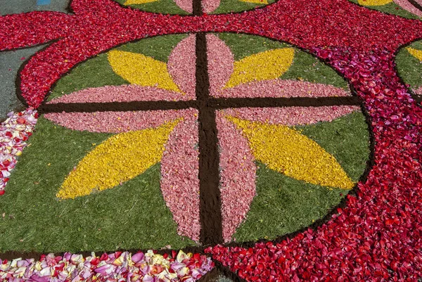Ponteareas Pontevedra Spanien 2013 Detail Eines Der Floralen Teppiche Von — Stockfoto