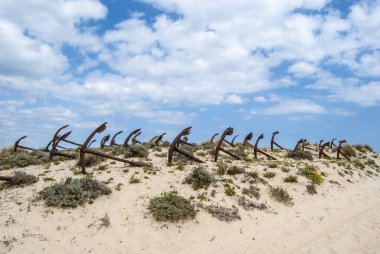 Tavira Algarve Portekiz Barril sahilde eski çapa Mezarlığı 
