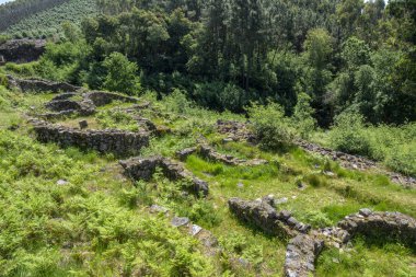 Trona Ponteareas Pontevedra Eyaleti, Spai yılında Celtic castro