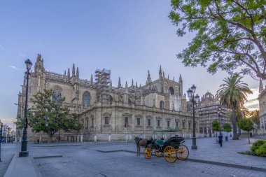 Sevilla, Endülüs, İspanya, Temmuz 2017: Sevilla'daki Giralda Katedrali'nin arka planda, Endülüs, İspanya at arabası