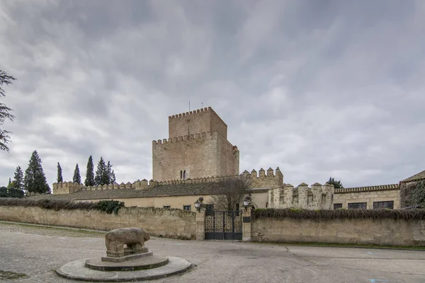Salamanca Spagna Febbraio 2016 Castello Verraco Del Comune Ciudad Rodrigo — Foto Stock