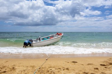Carvoeiro, gezisine hazır Algarve'deki/daki oteller deniz kıyısı üzerinde tekne
