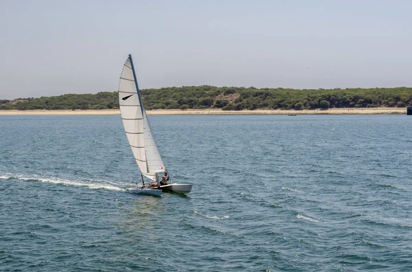 Troia Setubal Portugal August 2013 Recreational Craft Sailing Coast Troia — Stock Photo, Image