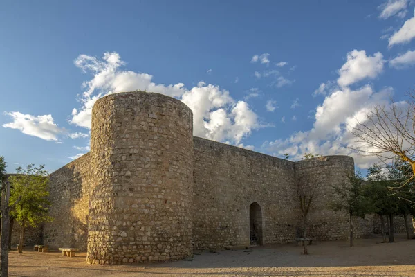 Real Alcazar Toro Est Bâtiment Défensif Plante Carrée Situé Dans — Photo