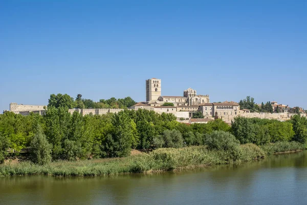 San Salvador Zamora Katedral Och Slottet Visa Från Floden Douro — Stockfoto