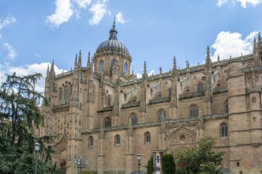 Salamanca, İspanya; Mayıs 2018: kubbe yeni Katedrali, Salamanca, İspanya, Unesco Dünya Mirası