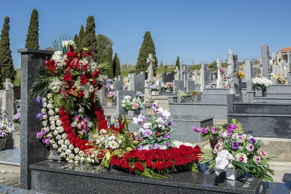 Bellissimi Fiori Sulla Tomba Nel Cimitero Salamanca Luogo Riposo Finale — Foto Stock