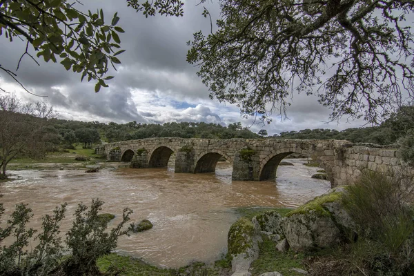 Puente Mocho Puente Romano Sobre Río Canedo Localidad Ledesma Provincia —  Fotos de Stock