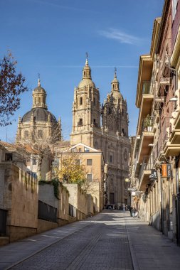 Salamanca, İspanya; Aralık 2018: Salamanca şehrinde Palomina sokaktan Clerecia kuleleri görünümünü