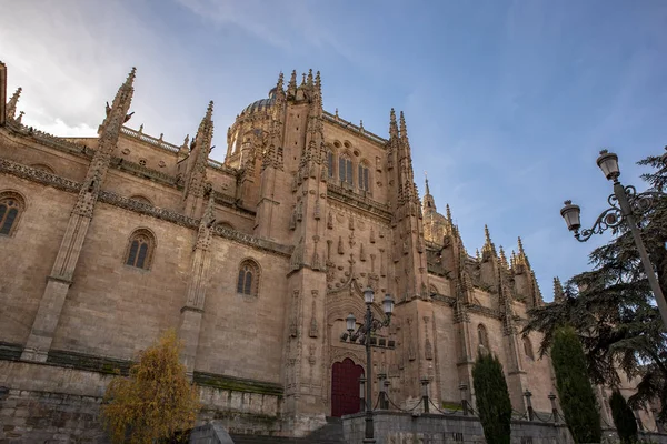 Salamanca Hiszpania Grudnia 2018 Nowe Katedry Salamance Słoneczny Dzień Zimy — Zdjęcie stockowe