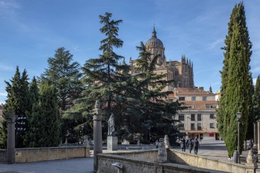 Salamanca, İspanya; Aralık 2018: Salamanca Katedrali, Dominicos İspanya dış görüntü genel kattan bir kubbe kule