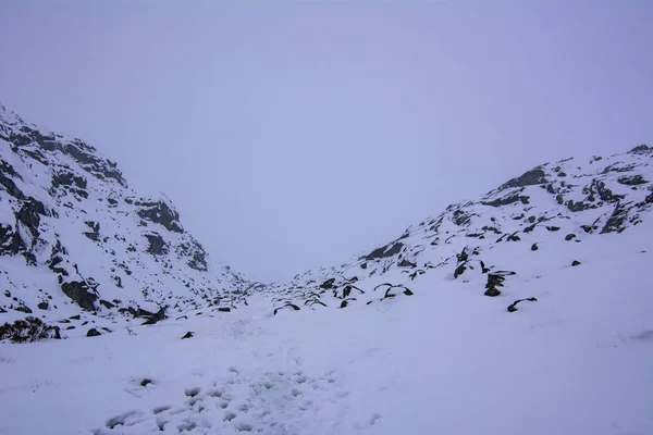 Χιονισμένα Βουνά Από Sierra Gredos Avila Κατά Ηλιοβασίλεμα Χειμώνα — Φωτογραφία Αρχείου