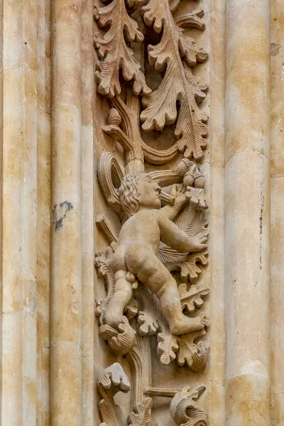 Naked Man Carved Stone Salamanca Cathedral Facade Sculpture Added Renovations — Stock Photo, Image