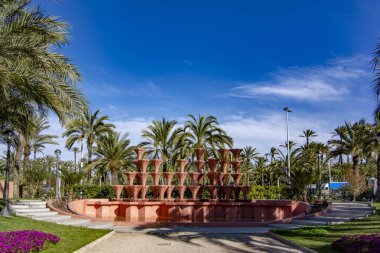 Elche, Alicante, İspanya; Şubat 2017: Palmeral Elche, İspanya'nın, en büyük dünyada. UNESCO mirası